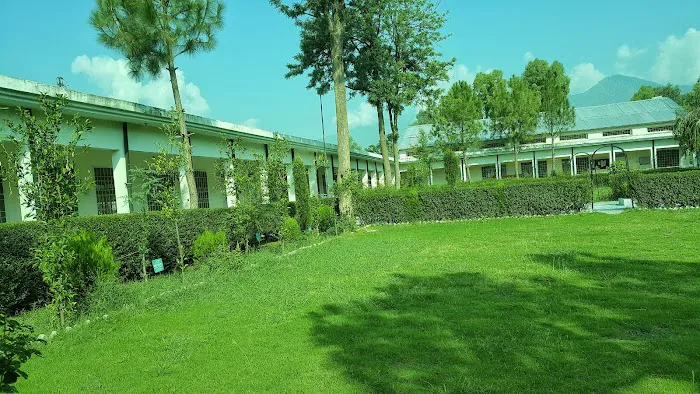 Government Degree College Barkhalozai Picture 1