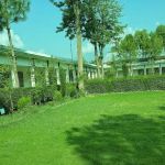 Government Degree College Barkhalozai