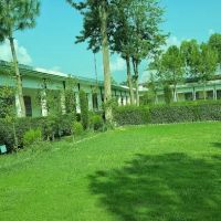 Government Degree College Barkhalozai ico
