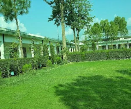 Government Degree College Barkhalozai