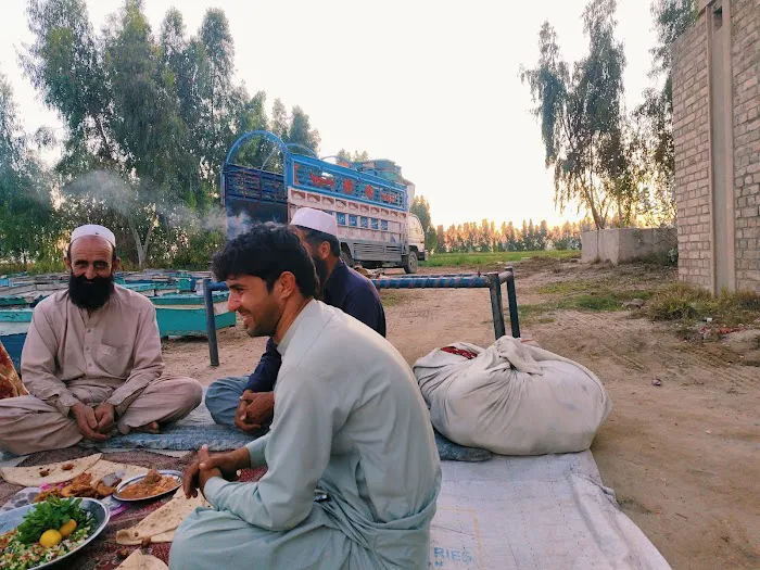 Punjab college Picture 7