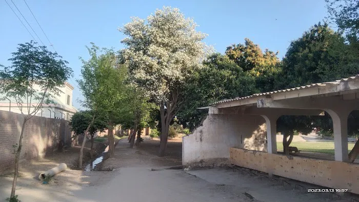 Govt. Associate College Liaqatabad Piplan (Mianwali) Picture 9