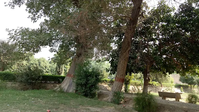 Govt. Associate College Liaqatabad Piplan (Mianwali) Picture 8