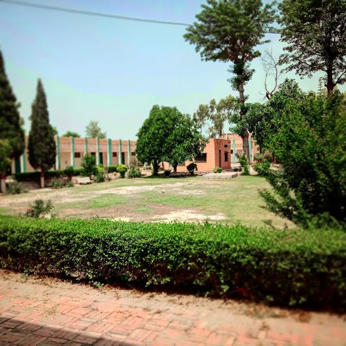 Govt. Associate College Liaqatabad Piplan (Mianwali) Picture 2