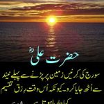 Government primary school Malik wala