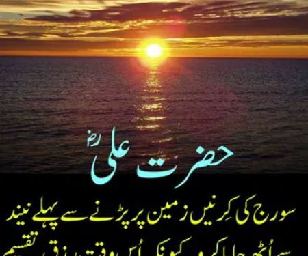 Government primary school Malik wala