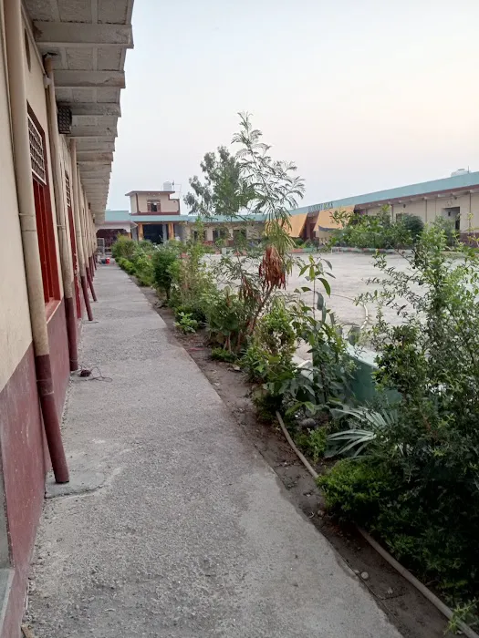 Shahab Ud Din Degree College Baka Khel Picture 4