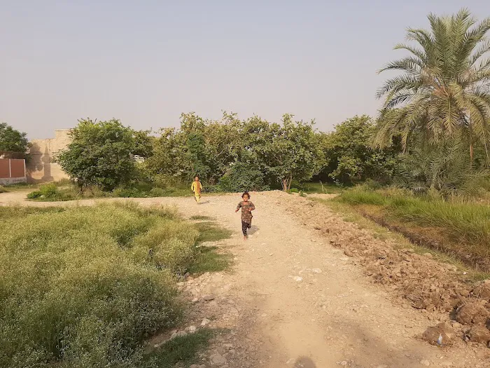 Government Degree College mamsh khel bannu Picture 5