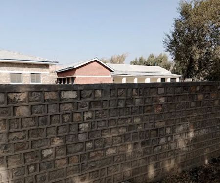 Gov't Primary School, Tangi