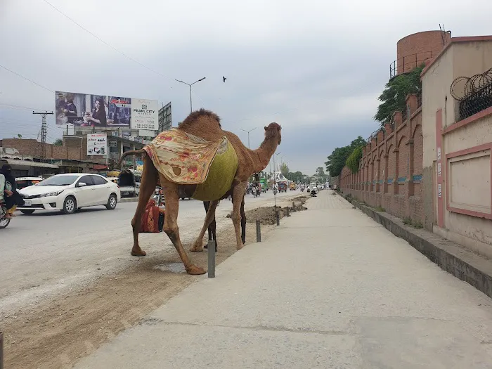 Abdul Wali Khan University Mardan Picture 6