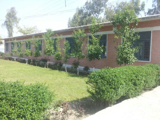 Government Degree College Toru, Mardan Picture 3
