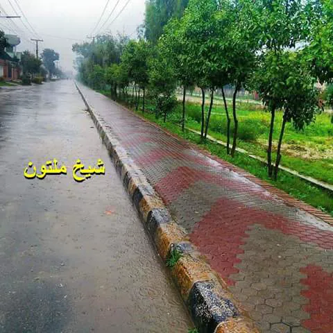Government Degree College Toru, Mardan Picture 9