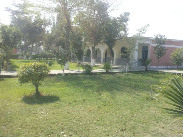 Government Degree College Toru, Mardan Picture 1