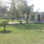 Government Degree College Toru, Mardan