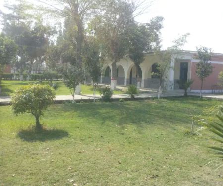 Government Degree College Toru, Mardan