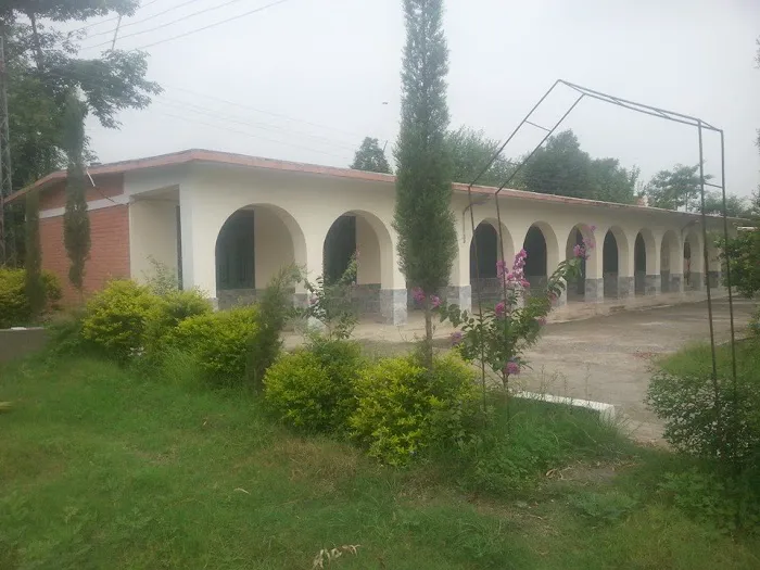 Government Degree College Toru, Mardan Picture 4
