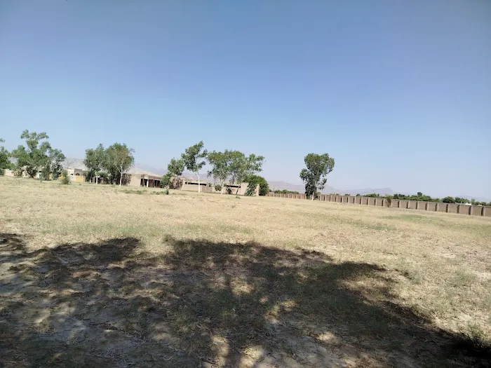 Government Elementary College Habibullah FR Bannu Picture 5