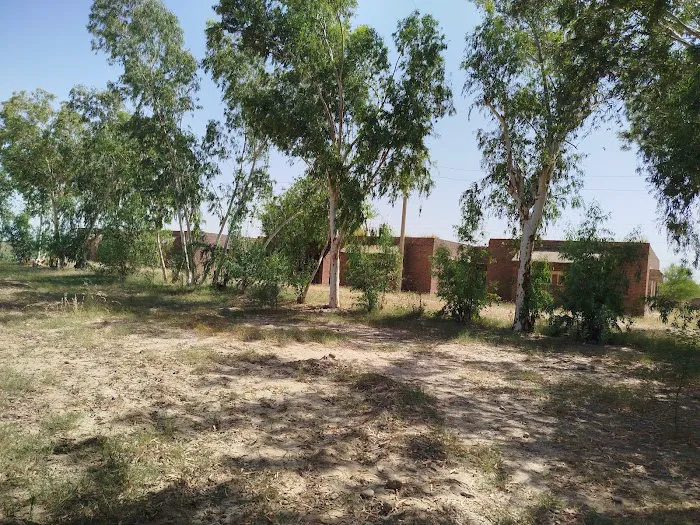 Government Elementary College Habibullah FR Bannu Picture 10