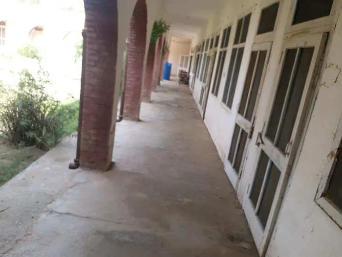 Government Elementary College Habibullah FR Bannu Picture 2