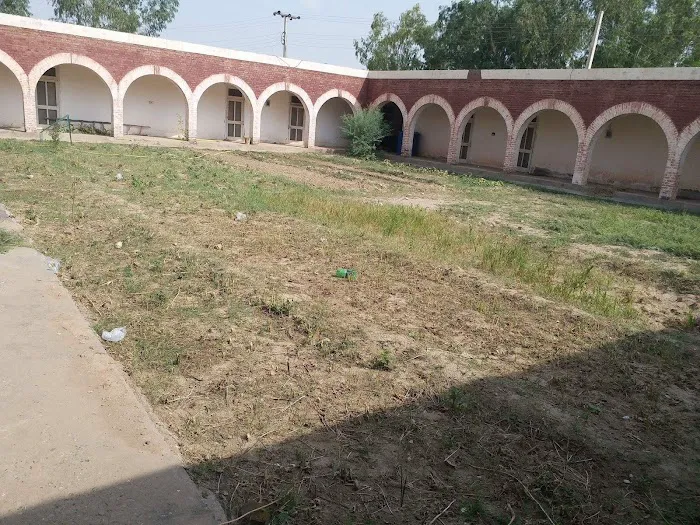 Government Elementary College Habibullah FR Bannu Picture 9