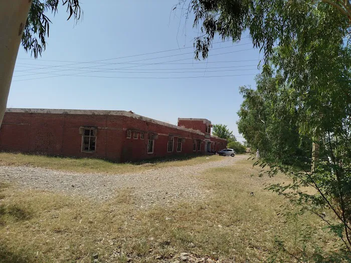 Government Elementary College Habibullah FR Bannu Picture 3