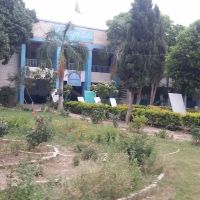 Commerce College, Bannu Township ico