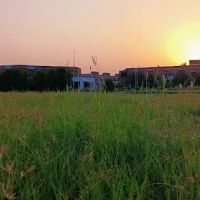Admin block,Bannu medical college ico