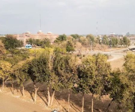 Bio Technology Block