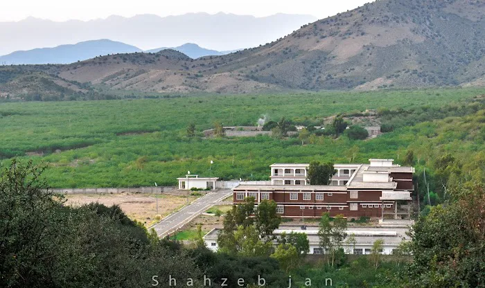 Government girls degree college Alizai Picture 3