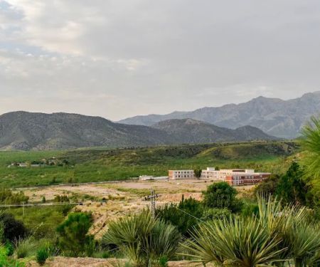 Government girls degree college Alizai