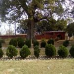 Government Primary School Rest House, Jalbai