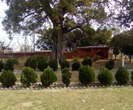Government Primary School Rest House, Jalbai