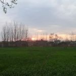 HARYANA PAYAN PESHAWAR