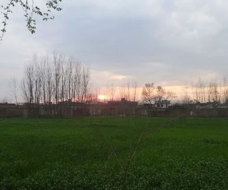 HARYANA PAYAN PESHAWAR