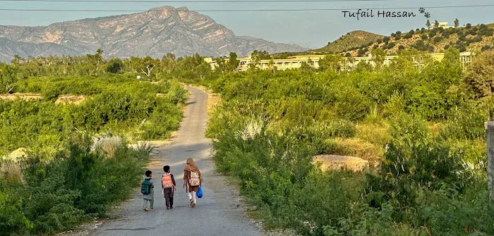 Girls Degree College, Alizai Picture 4