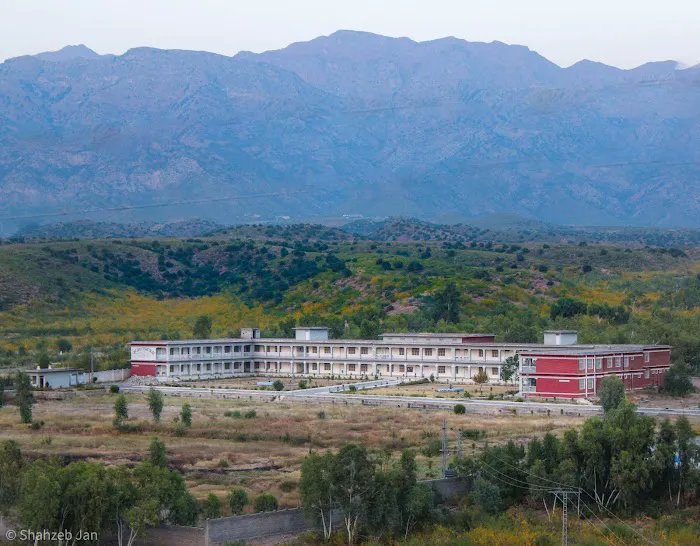 Girls Degree College, Alizai Picture 3