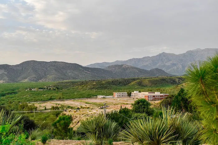 Girls Degree College, Alizai Picture 2