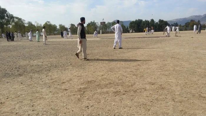 Govt degree college sadda Picture 3