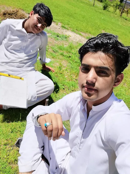 Govt degree college sadda Picture 9