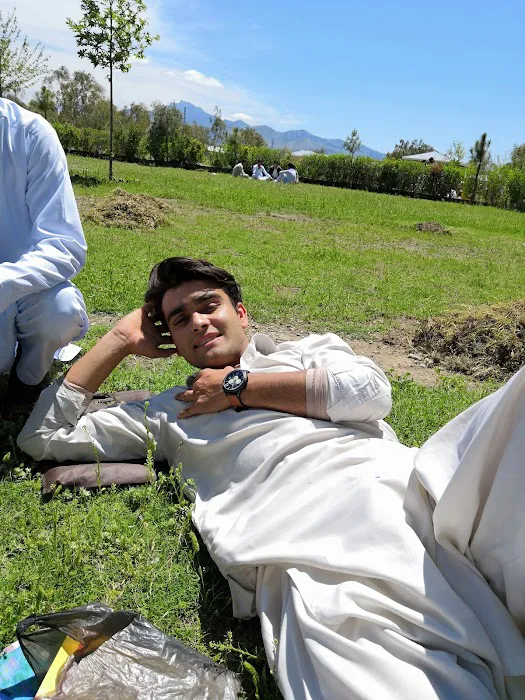 Govt degree college sadda Picture 1