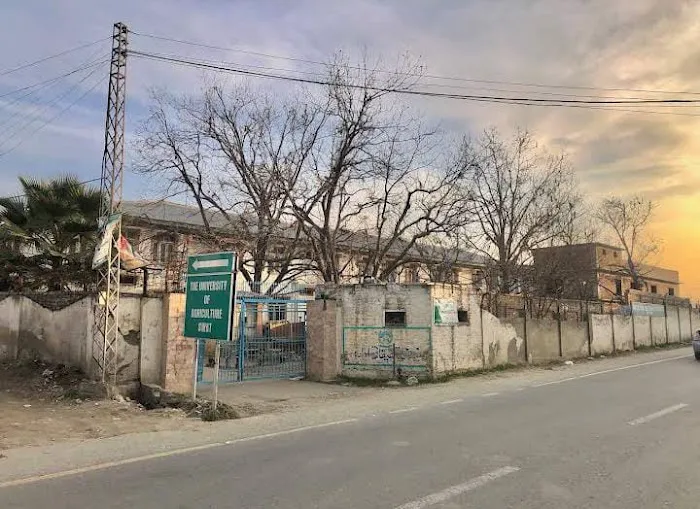 Agriculture Research Institute Mingora Swat Picture 8