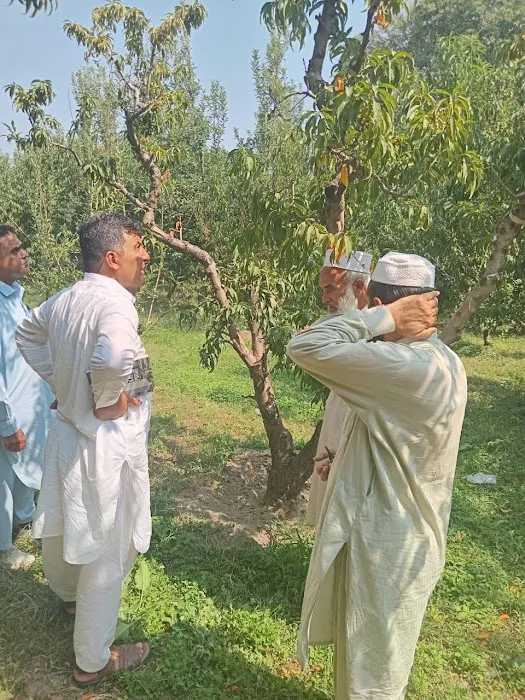 Agriculture Research Institute Mingora Swat Picture 1