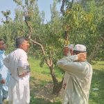Agriculture Research Institute Mingora Swat