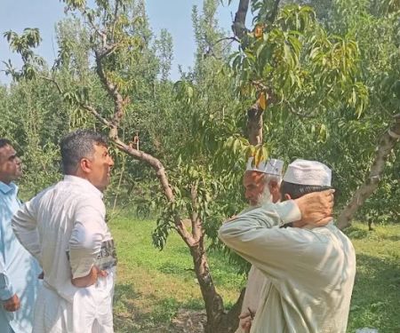 Agriculture Research Institute Mingora Swat
