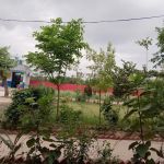 Govt Girls High School