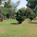 Post Graduate College Bannu Main Library