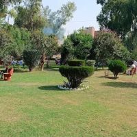 Post Graduate College Bannu Main Library ico