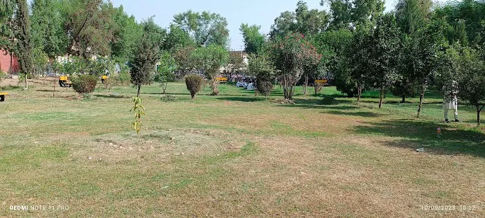 Post Graduate College Bannu Main Library Picture 5