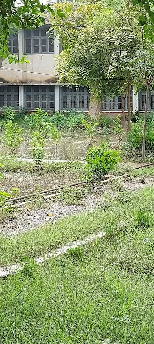 Government Post Graduate College Bannu Picture 5