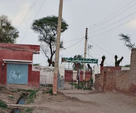 Boys primary school